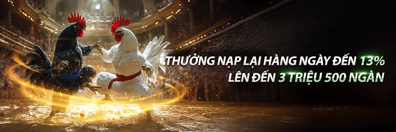 Sảnh Đá Gà Trực Tuyến Hấp Dẫn tại VT88 Game